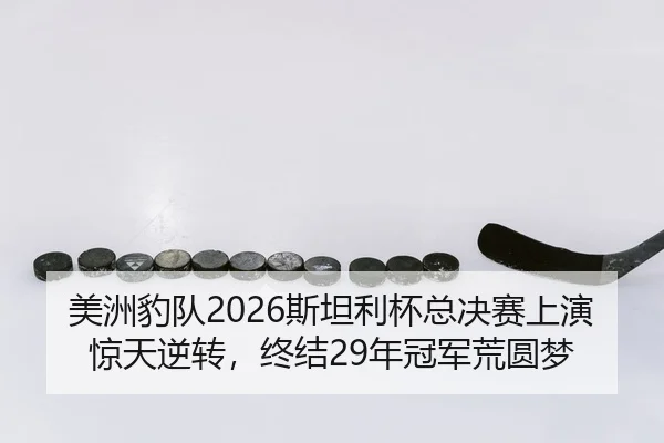 美洲豹队2026斯坦利杯总决赛上演惊天逆转，终结29年冠军荒圆梦