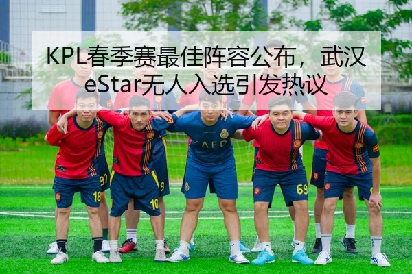 KPL春季赛最佳阵容公布，武汉eStar无人入选引发热议